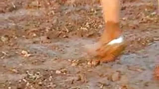 பூனை ஆபாசத்துடன் போராடுகிறது