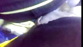 சீன இந்தி ஆபாச குழந்தை doggystyle fucking - 2022-04-25 03:24:45